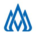 widget avatar